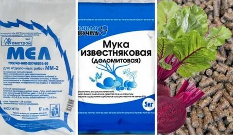Смородина грунт