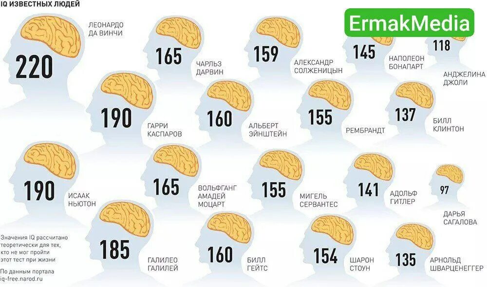 Человек с самым высоким iq. Сколько в мире умных людей. Сколько в мире умных людей. Самый большой iq у человека. Самый умный человек.