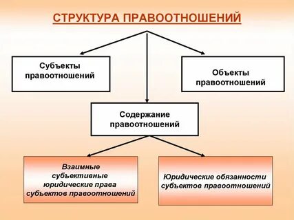 Укажите структуру правоотношений