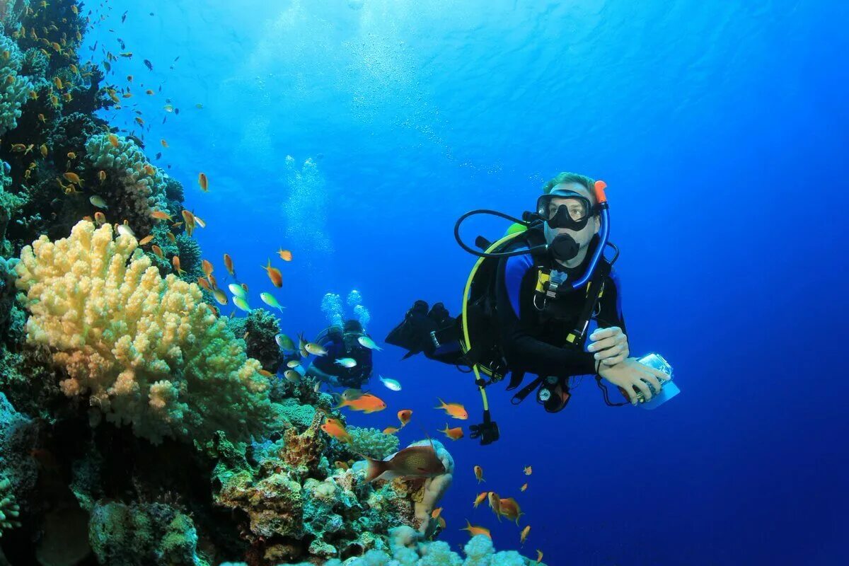 Водный дайвинг. Скуба дайвинг. красное море риф дайвер. дайвинг scuba. хургада египет погружение с аквалангом.