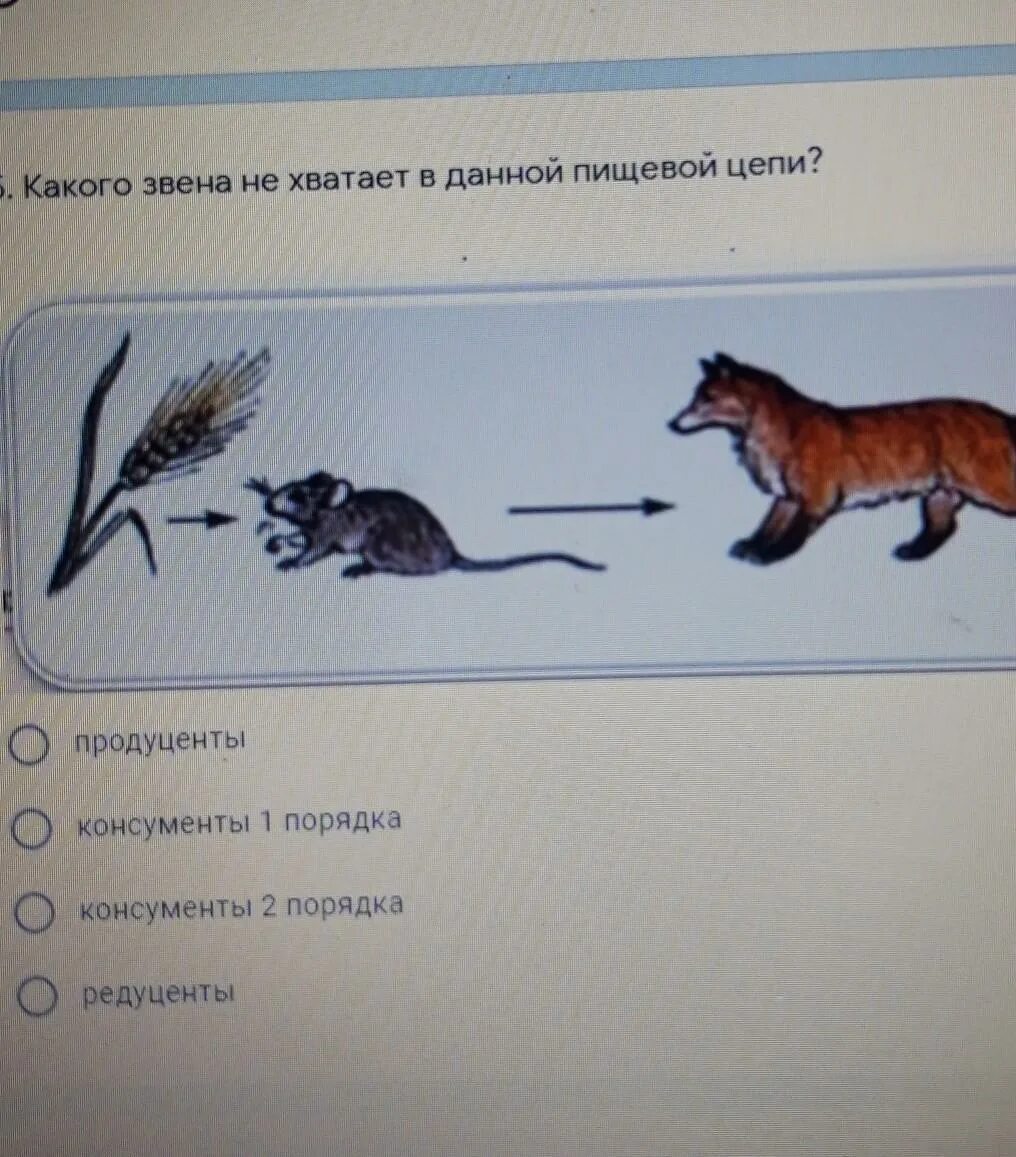 Начальным звеном пищевой цепи являются продуценты. Пищевая цепь продуценты консументы. Пищевая цепь продуценты. Консументы 1 порядка. Консументы 1 порядка консументы 2 порядка.