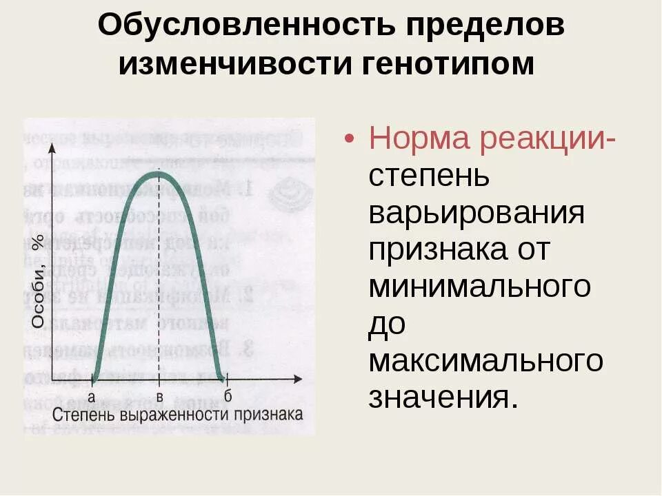 Нормы реакции бывают. Норма реакции биология 10 класс. Норма реакции изменчивость. Норма реакции это в биологии. Норма реакции это в генетике.