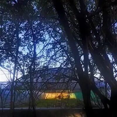 Ул садовая пасечная