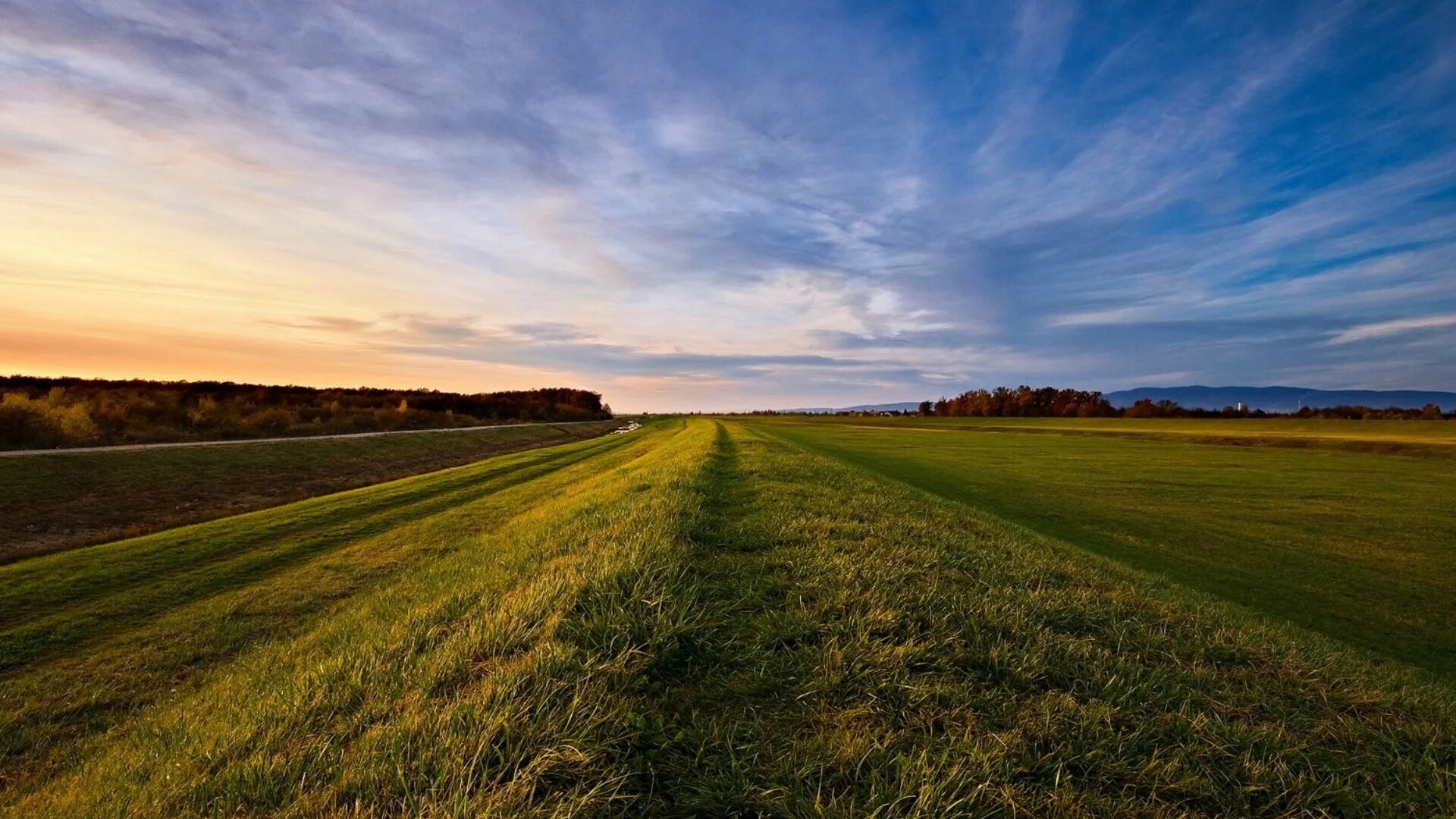 Where field field. Where field field