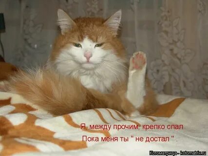 Я между прочим