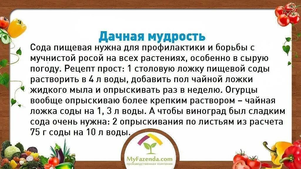 Подкормка перцев йодом. Опрыскивание овощей растворами. Подкормка помидор йодом. Полить борной кислотой помидоры и огурцы. Удобрение с йодом для помидор.