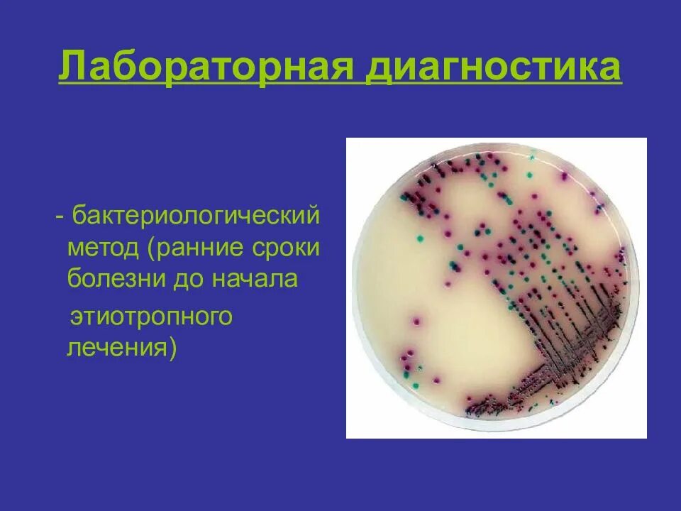 Метод диагностики кишечных инфекций. Лабораторная диагностика острых кишечных инфекций. методы лабораторной диагностики острых кишечных инфекций. методы микробиологической диагностики острых кишечных инфекций. бактериологический метод диагностики кишечных инфекций.