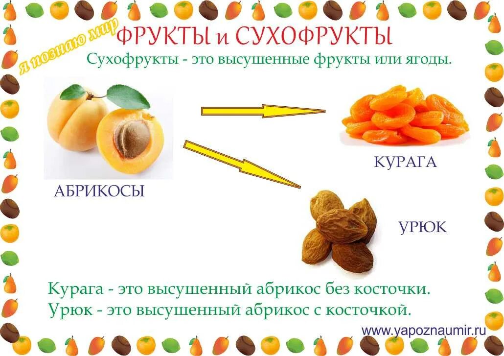 Сухие фрукты задачи. Карточки сухофрукты. Сухофрукты презентация. Полезные сухофрукты для детей. Восточные сухофрукты названия.