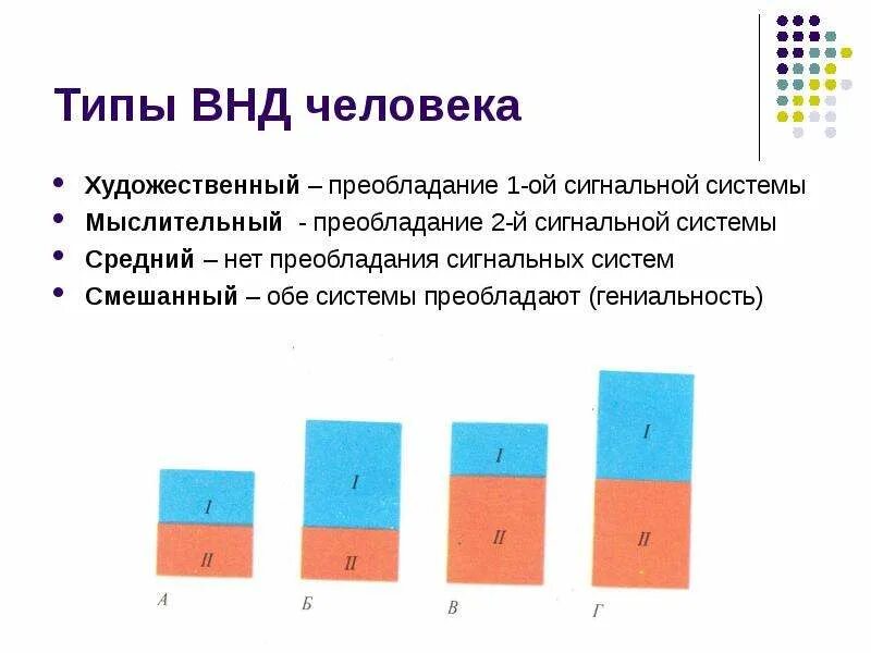 Типы внд человека. Художественный тип личности по павлову. Типы высшей нервной деятельности по павлову. Характеристики слабого типа высшей нервной деятельности. Художественный тип высшей нервной деятельности.