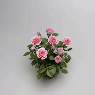 Мини цветы