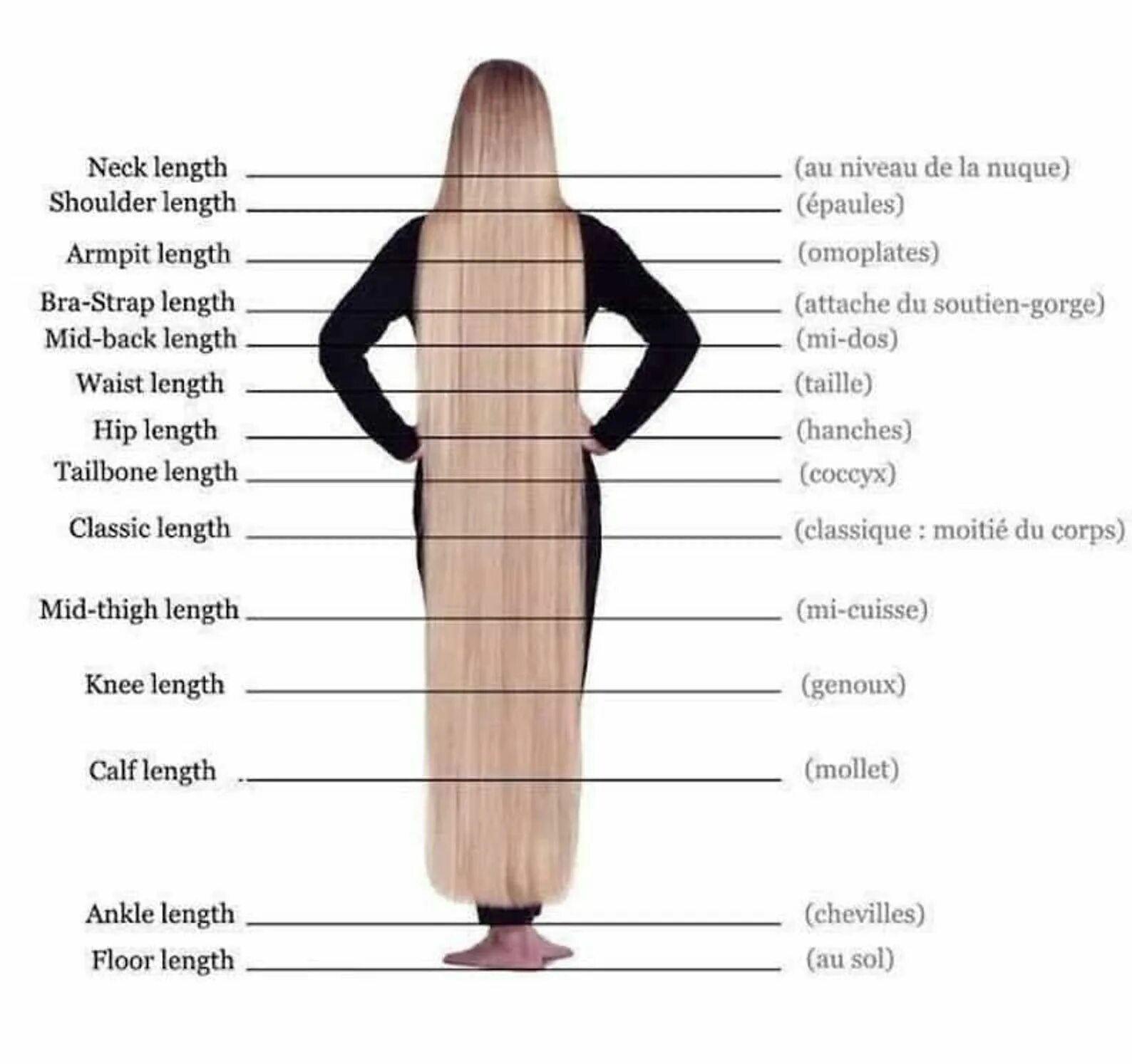 Длина волос в см таблица по длинам. Длина волос по сантиметрам. Длина волос по длине. Мерка длины волос. Волосы длинной 90 см.