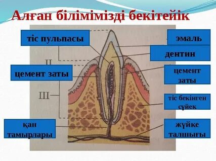 Үйдегі әйеліне тыңшылық