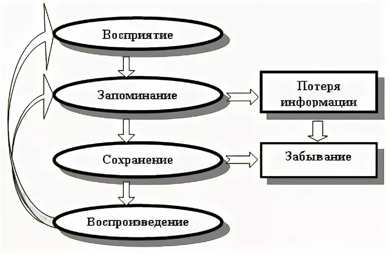 Наиболее трудным из процессов памяти является. Процессы памяти схема. процессы памяти в психологии схема. процесс запоминания схема. процессы памяти забывание.