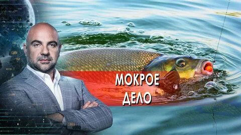 Мокрое дело 3