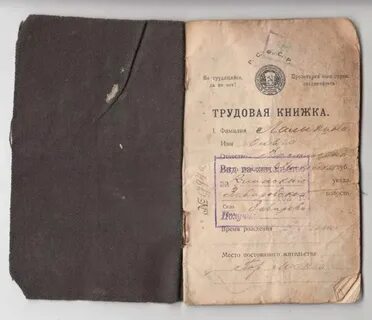 История трудового