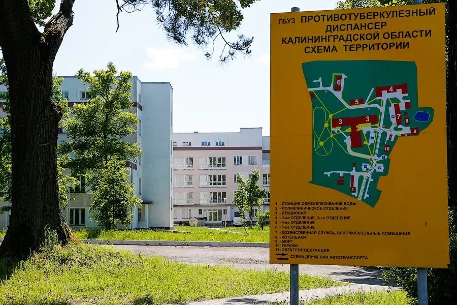 Наркодиспансер калининград. Тубдиспансер калининград дубовая аллея. противотуберкулезный диспансер калининградской области. туберкулезный диспансер калининград каштановая аллея. дубовая аллея 5 калининград.