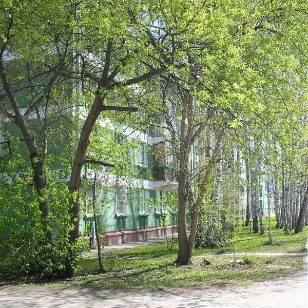 Улица золотодолинская академгородок. Улица золотодолинская академгородок. Золотодолинская 13 новосибирск. Улица золотодолинская новосибирск. Улица золотодолинская новосибирск.