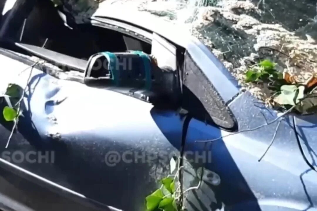 В сочи дерево раздавило человека. В сочи дерево раздавило человека. Сочи хоста обвал. В сочи дерево раздавило человека. Лазаревское разбилась машины в дерево новости.
