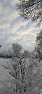 Зима раскрыла снежные объятья