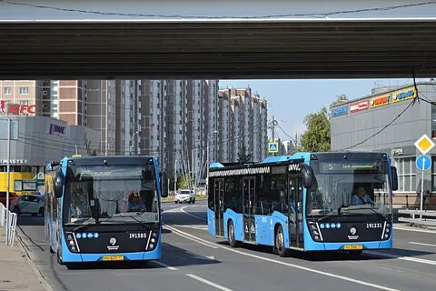 Автобус 400 из москвы