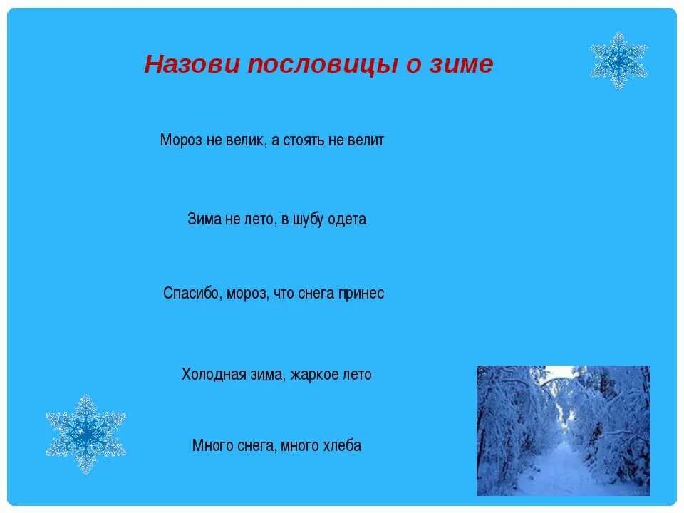 Вопрос на слово снег. Пословицы о зиме. Маленькие пословицы о зиме. Пословицы поговорки загадки о зиме. Пословицы о зиме короткие.