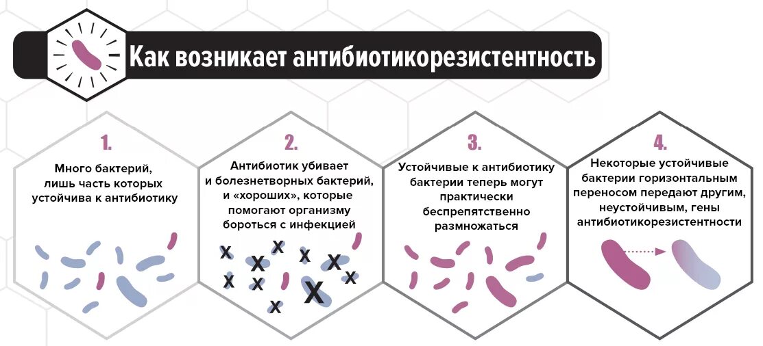 Природная устойчивость микробов к антибиотикам. Природная устойчивость бактерий к антибиотикам. Антибиотико резистентность бактерий к антибиотикам. Резистентность к антибиотикам как возникает. Резистентность инфекции