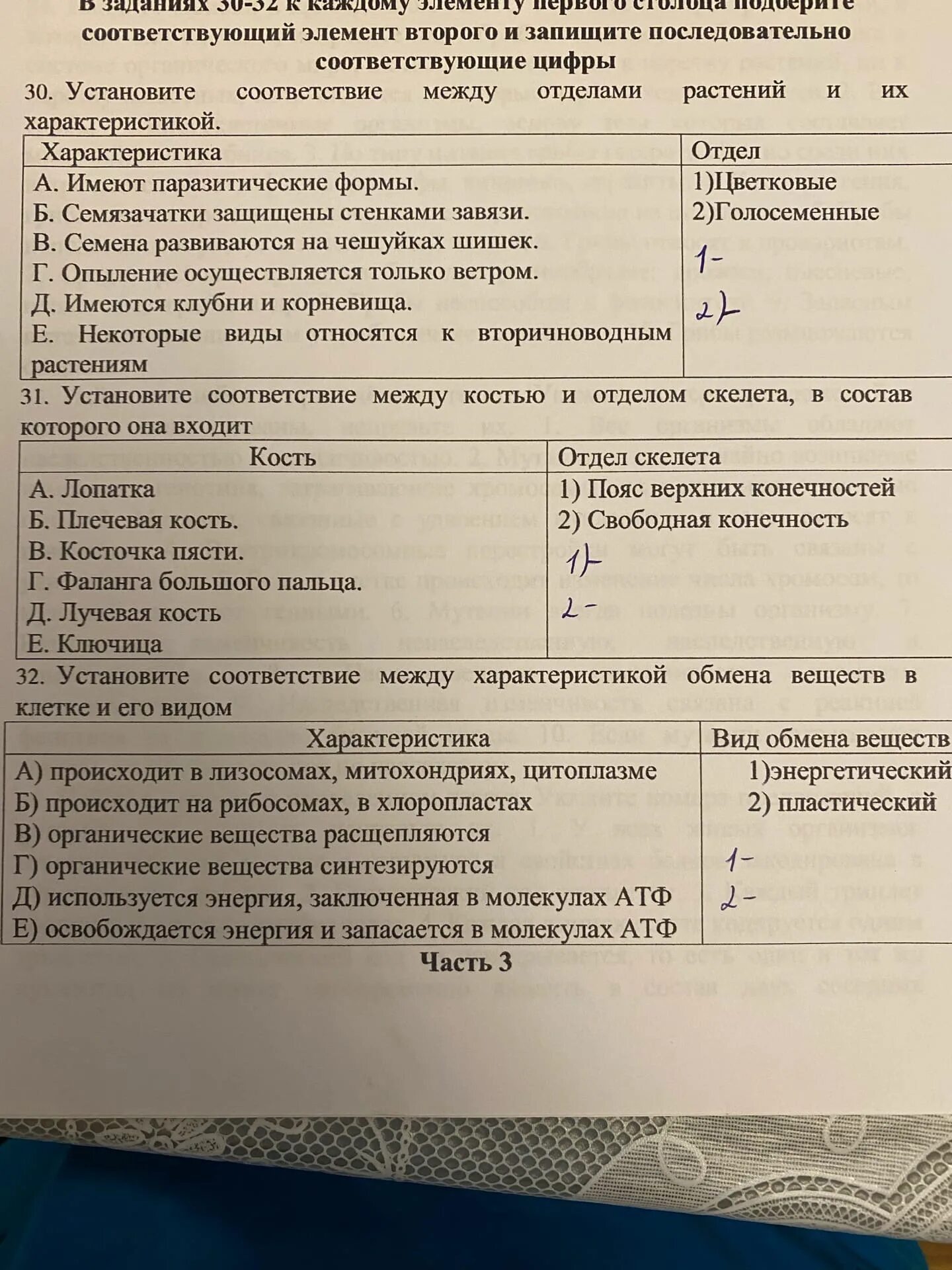 Соответствие между костью и характеристикой. Установите соответствие между видами узлов и их характеристиками.