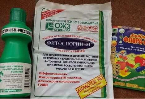 Обработка почвы в теплице осенью фитоспорином