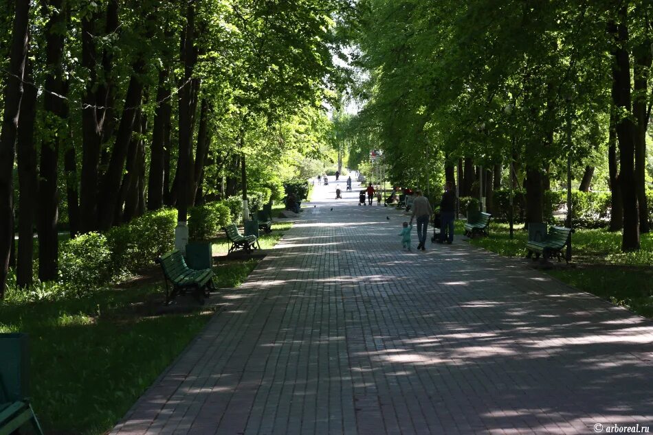 Мытищинский городской центр. Парк яуза мытищи. Цпкио мытищи. Центральный городской парк мытищи. Центральный городской парк мытищи.
