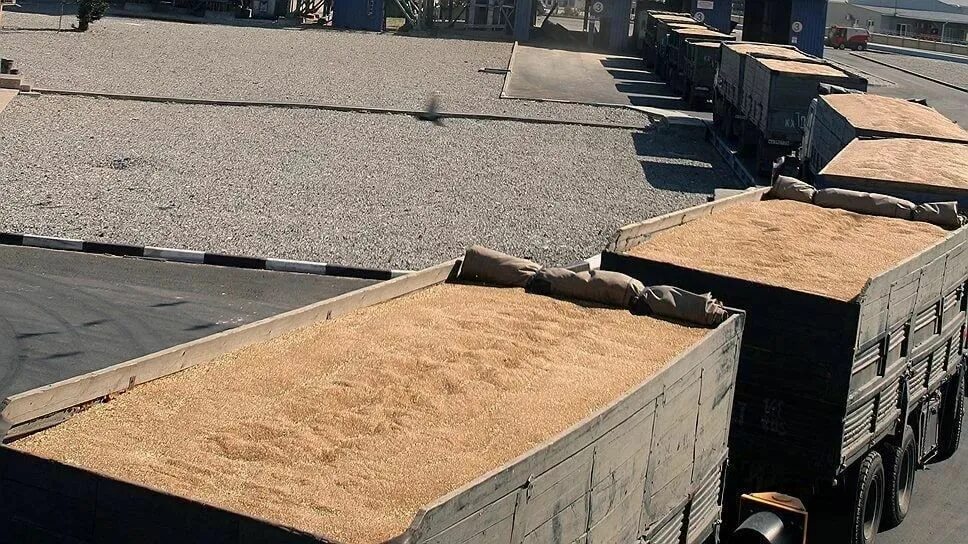 Cargill украинское зерно. Вывозка зерна. Куча зерна. Забайкальский зерновой терминал. Операция зерно.
