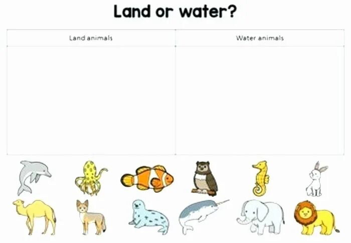 Pros cons of keeping wild animals. Описание животных worksheets. задания на тему animals can. животные на английском 1 класс. animals tasks for kids.