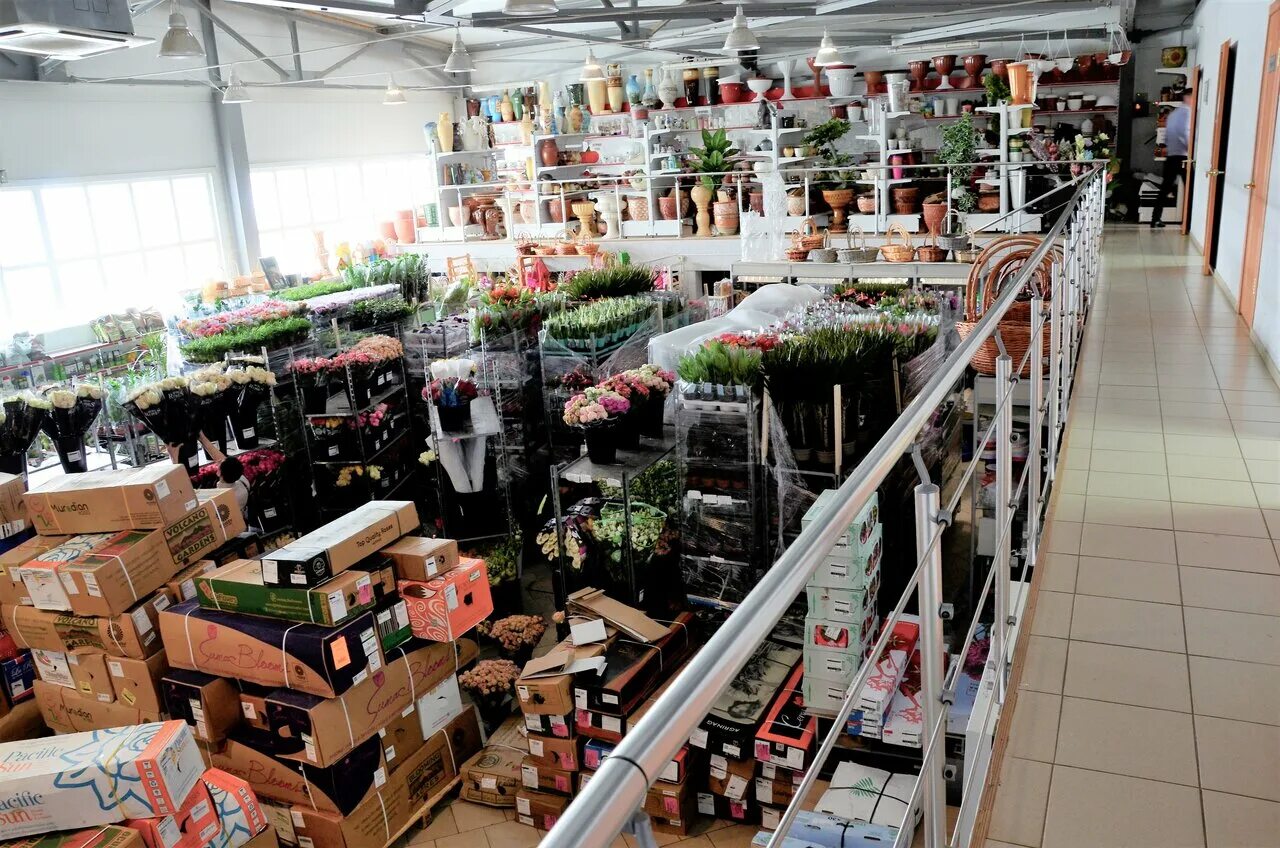 цветы уральска сайт. цветы уральска сайт. романтик цветы уральск. цветы уральск. цветы уральск.