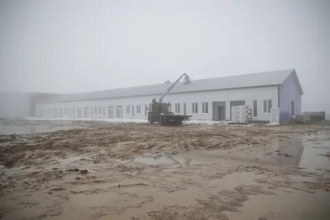 Терновка белгородская область ковидный