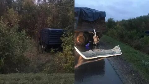 Газель пропасть