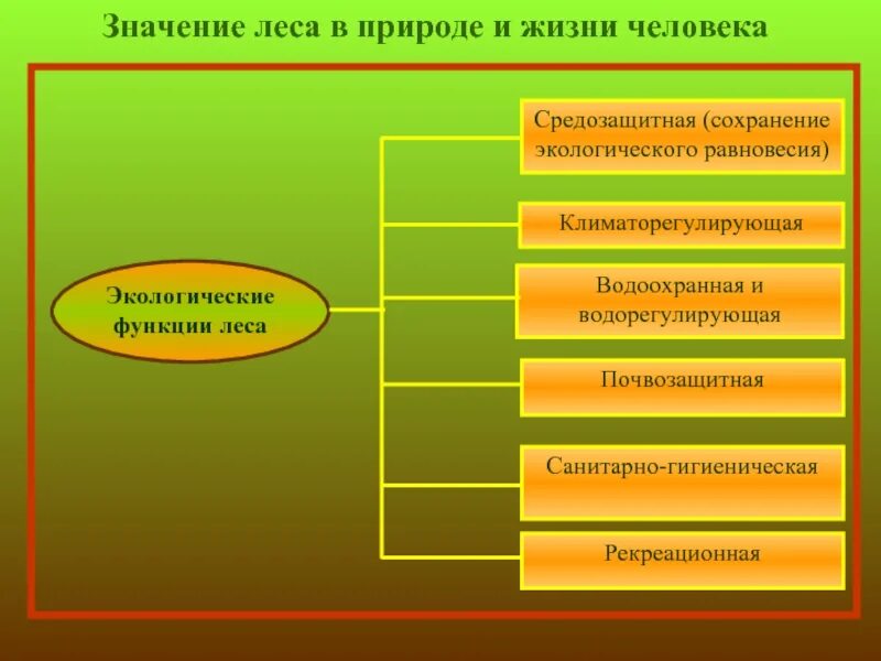 Экономическое значение природы. Экологическая роль леса. значение леса в природе и жизни человека. значение леса в жизни человека. значение леса в природе.