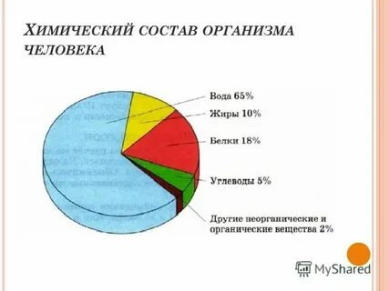 Состав организма биология