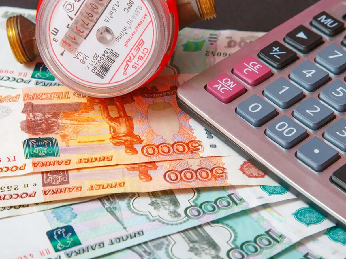 Субсидии тсж