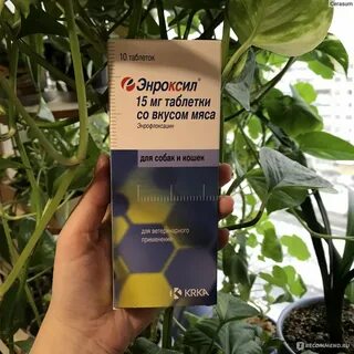 Энроксил для собак