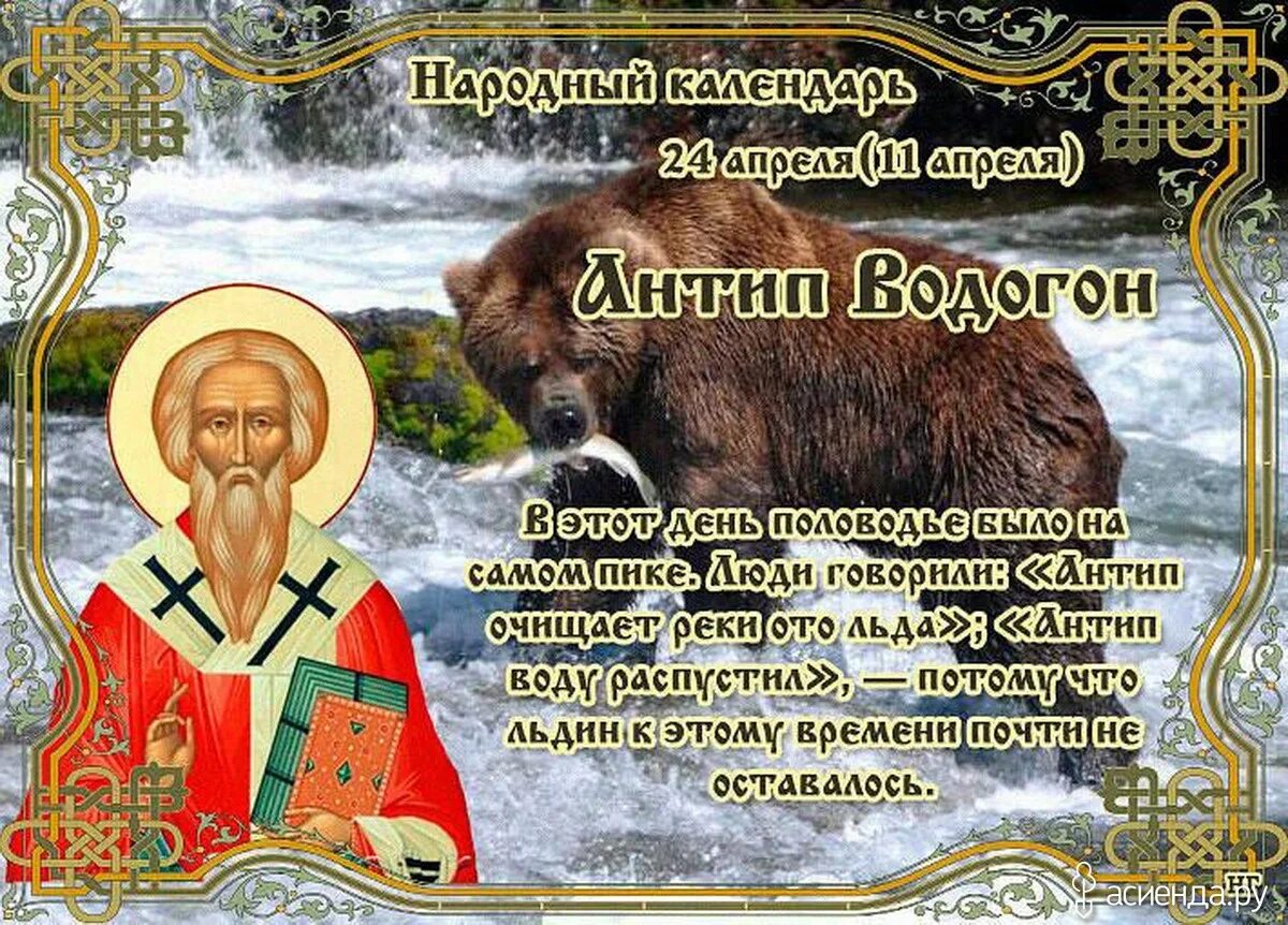 24 апреля приметы и поверья. 24 апреля - антип водогон, народные праздники. 24 апреля народный календарь. народный праздник антип водогон. день 24 апреля в народном календаре.