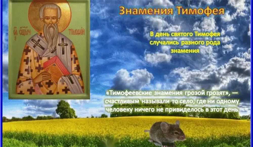 30 июня именины. 23 мая день ангела. Поздравление с именинами алексея. 23 мая день ангела. 23 ноября день ангела.