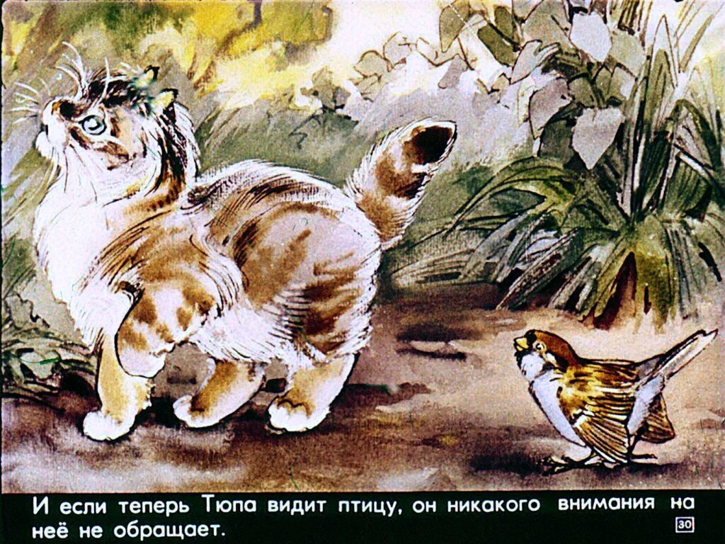 Чарушин почему. Тюпа картина. котенок тюпа чарушин. чарушин художник анималист.