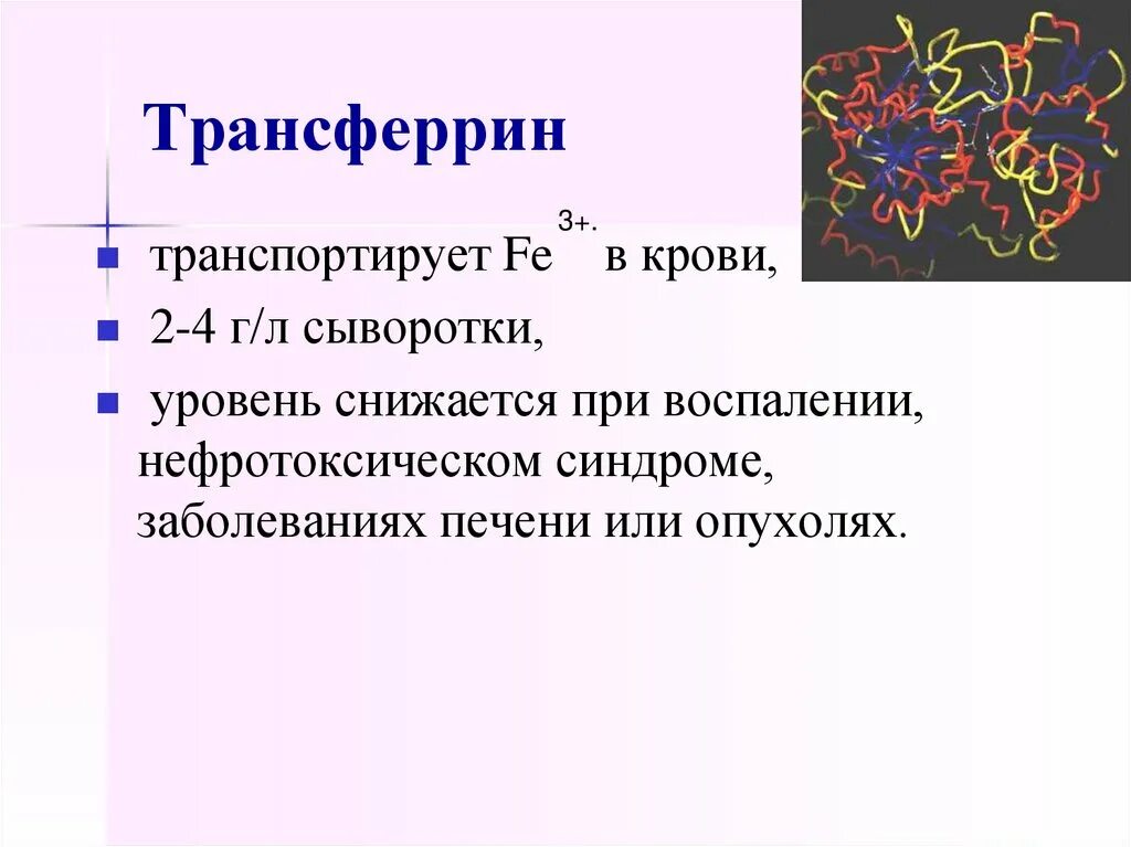 Трансферрин сыворотки крови