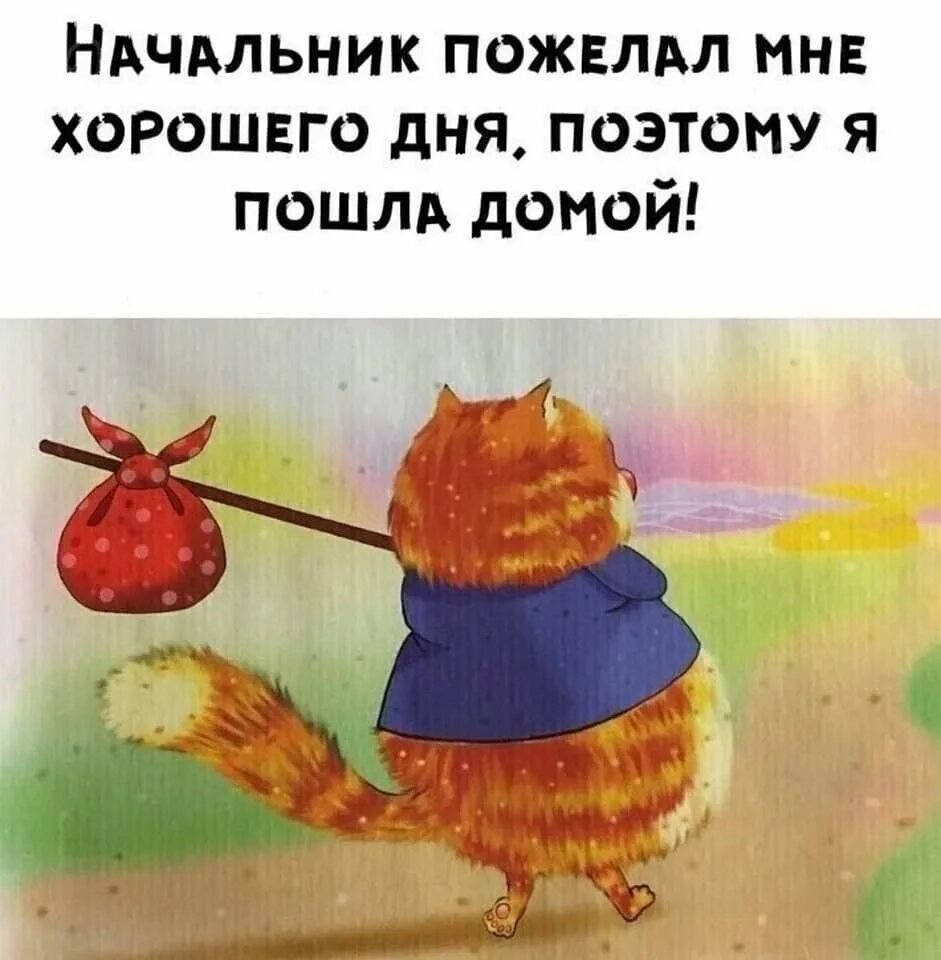 Ладно я пошла есть. Начальник пожелал мне хорошего дня. начальник пожелал хорошего дня поэтому я. начальник пожелал мне хорошего дня поэтому я пошла домой. картинка начальник пожелал мне хорошего дня.