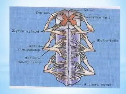 Клиентке арналған қонақүй порносы