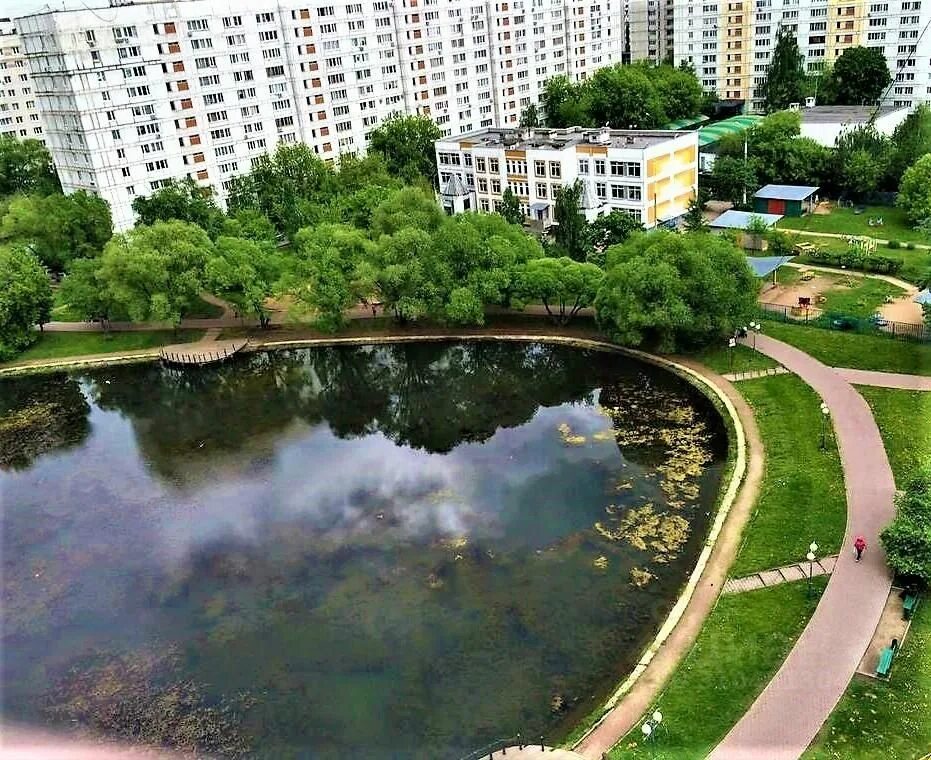 Ясный проезд отрадное. Ясный проезд москва. ясный проезд 5. ясный проезд 8. пруд на ясном проезде.