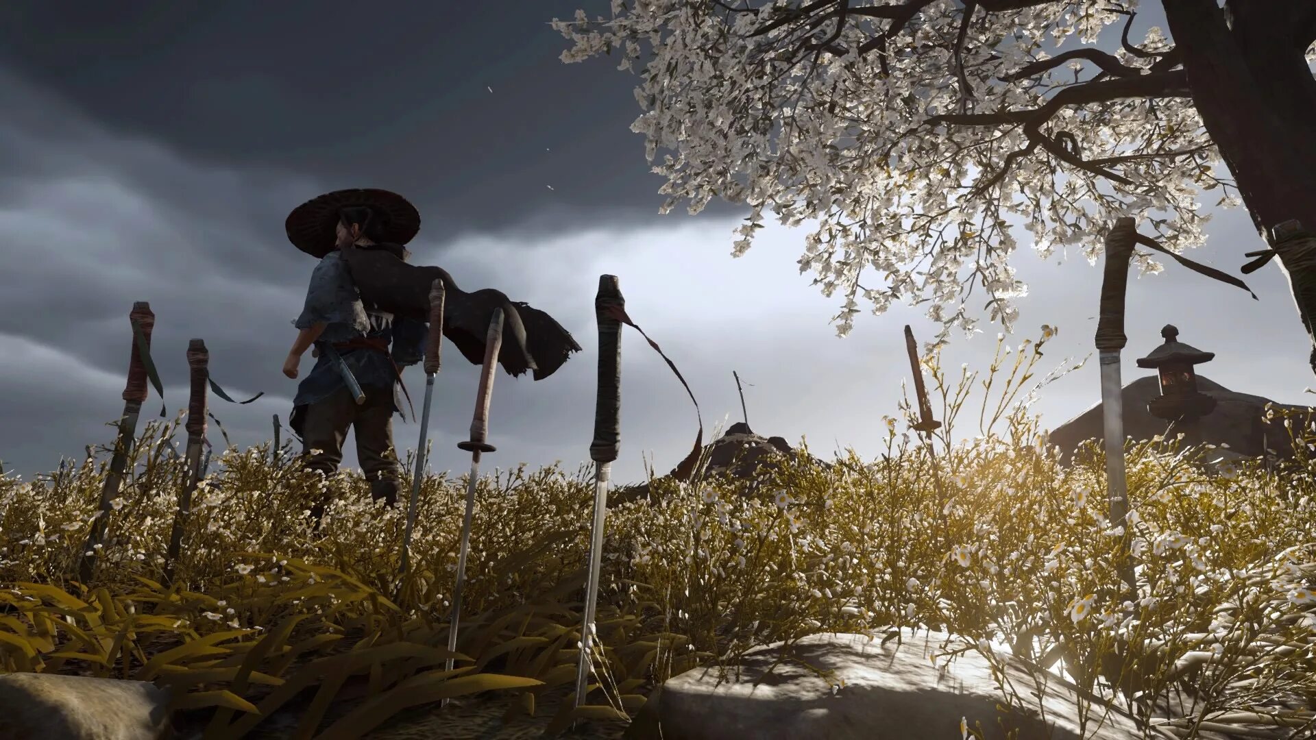 Ghost of tsushima windows. Катана ghost of tsushima. ghost of tsushima — самурай. ghost of tsushima поле. ghost of tsushima эстетика.