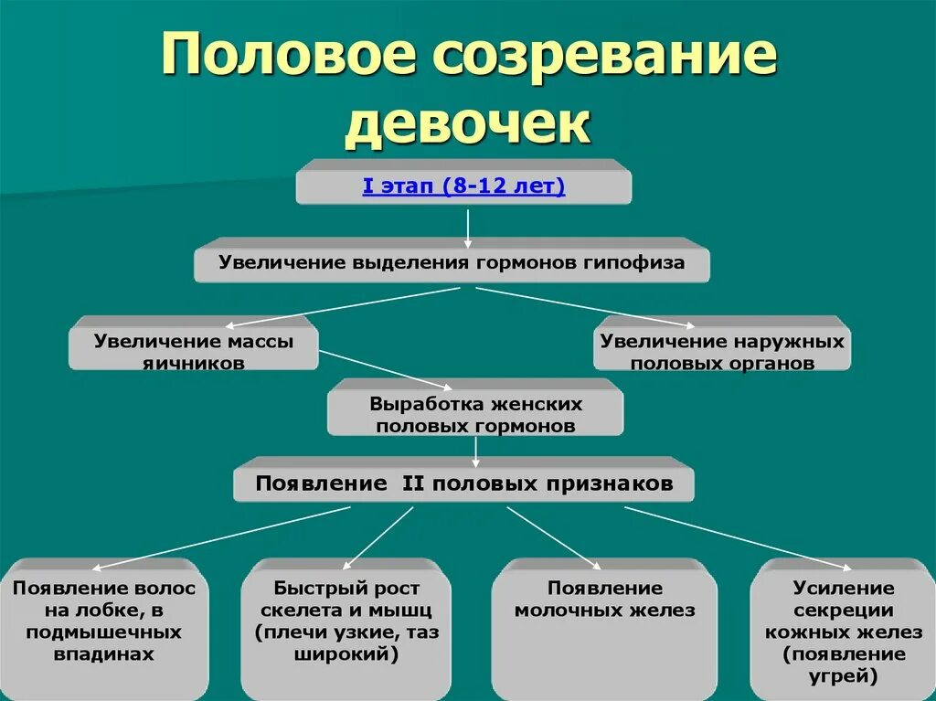 Половое созревание у девочек. Девочка полового созревания. Этапы полового развития девочки. Этапы созревания девочек. Половое развитие мужчин