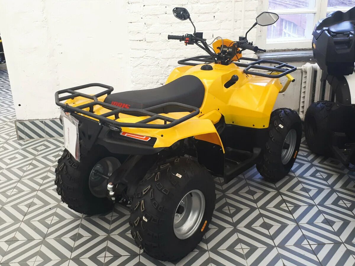 дикий барс. ирбис 2023. квадроцикл ирбис фото. новый москвич 412 2023. ирбис 2023.