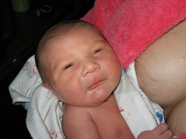 Девять месяцев под сердцем. Мама главное. Девять месяцев под сердцем девять месяцев у сердца. Похожа на папу. Выражения о материнстве.