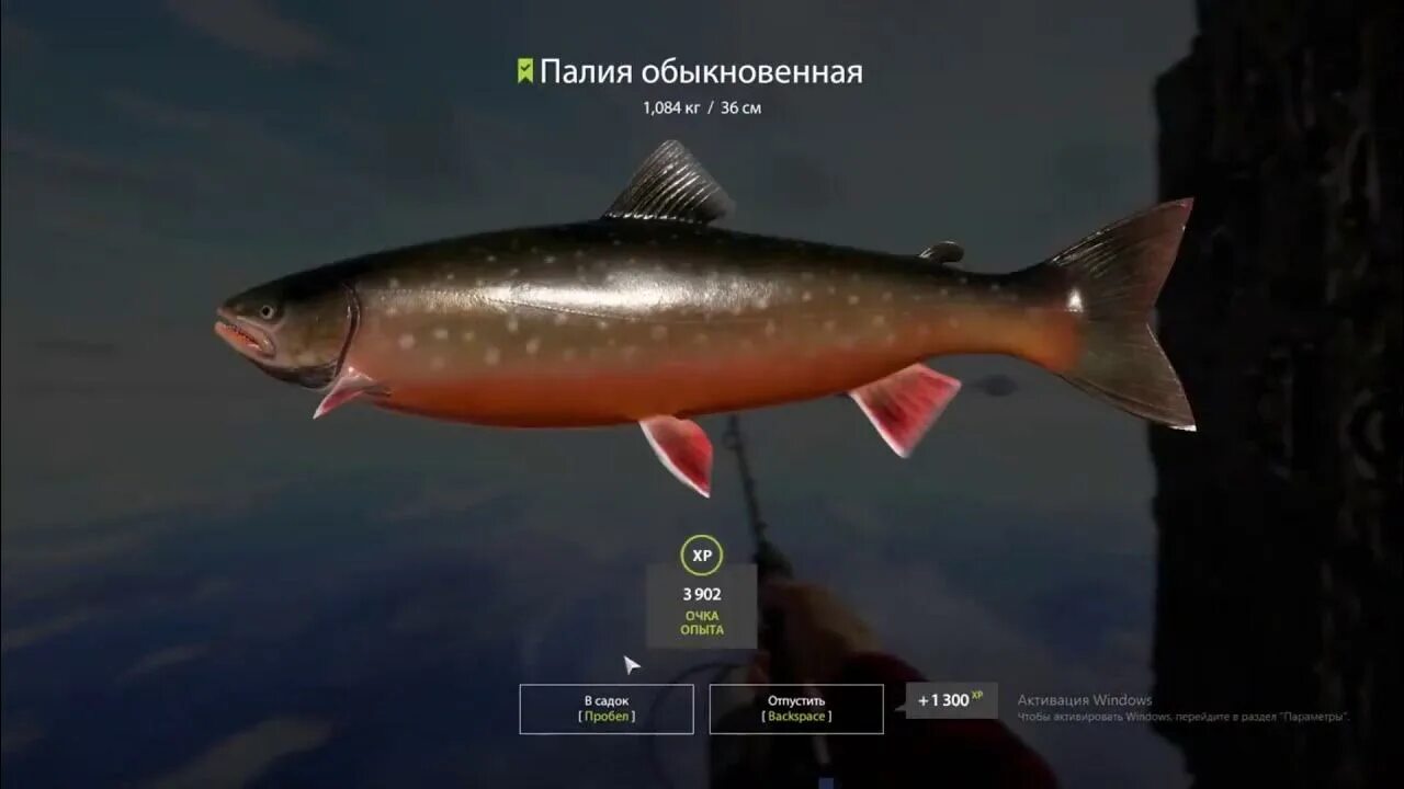 Палия русификатор. Палия игра. палия игра джел.